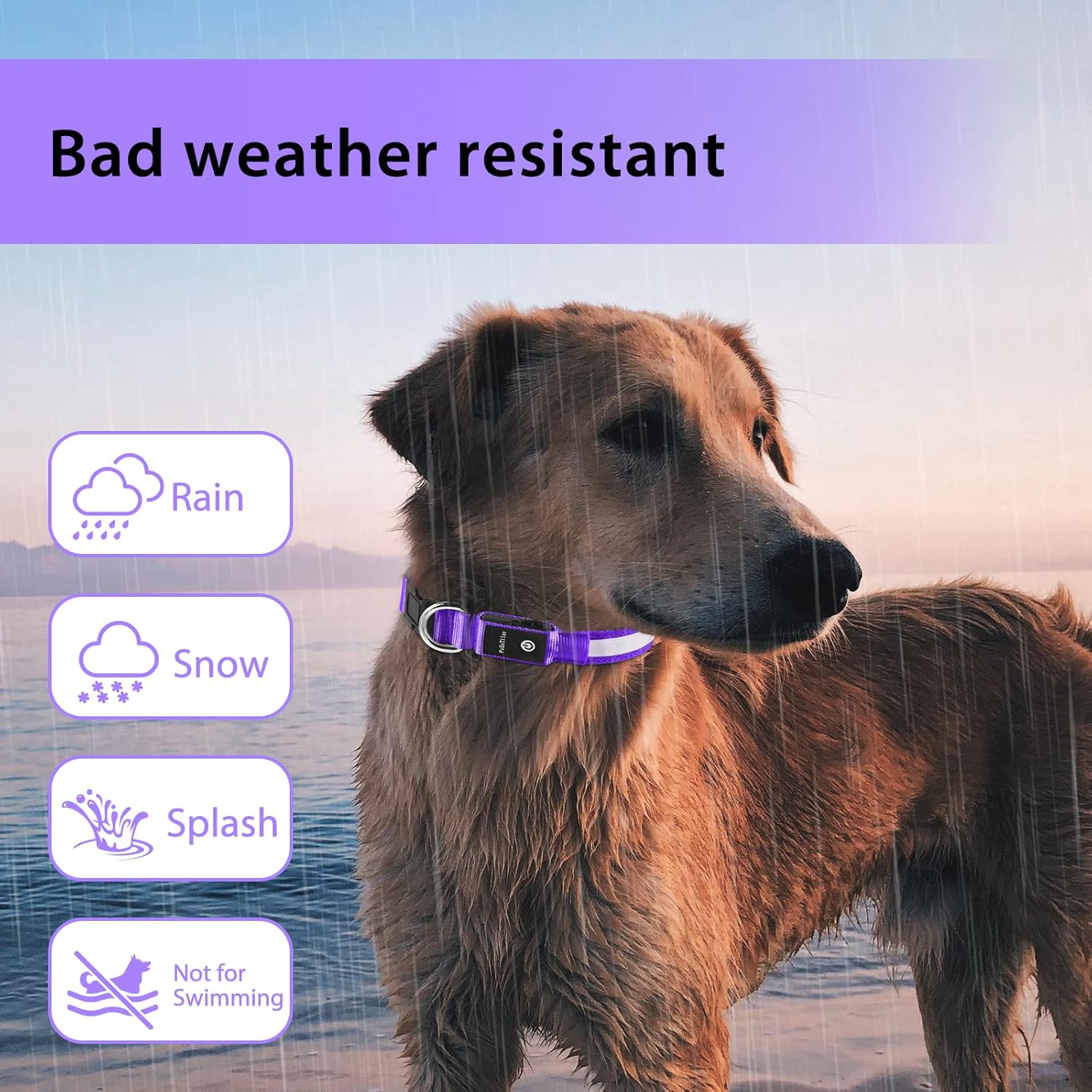 Rechargeable LED Dog Collar, Waterproof Light Up Flashing Safety Collar for Small Medium Large Dogs Purple